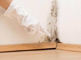 Best Mold Remediation for Rental Properties  in Heartland, TX